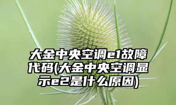大金空调故障代码E2解析（探究大金空调故障代码E2的主要原因及解决方法）