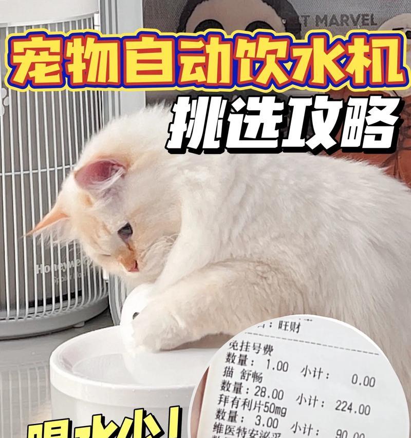 猫咪马桶饮水机安装指南（详细步骤和注意事项）