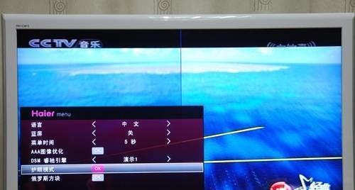电视画面不出现的原因及解决方法（电视无画面故障分析与处理技巧）