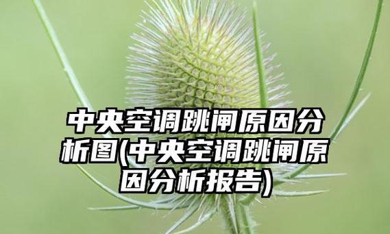 中央空调跳闸的原因及修复方法（探究中央空调跳闸背后的故障）