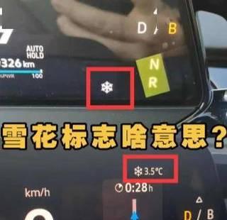 如何解决投影仪出现雪花斑块问题（排除干扰）