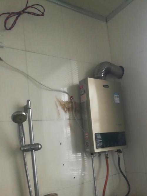 林热水器清洗方法（掌握清洗技巧）