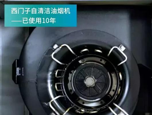 如何正确清洗油烟机空气净化器（掌握清洗技巧）