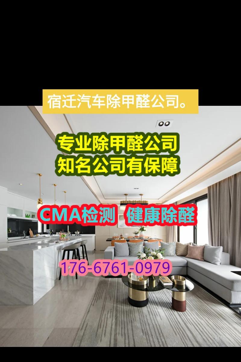 专业除甲醛公司的有效性揭秘（专业除甲醛公司能否真正消除室内甲醛污染）
