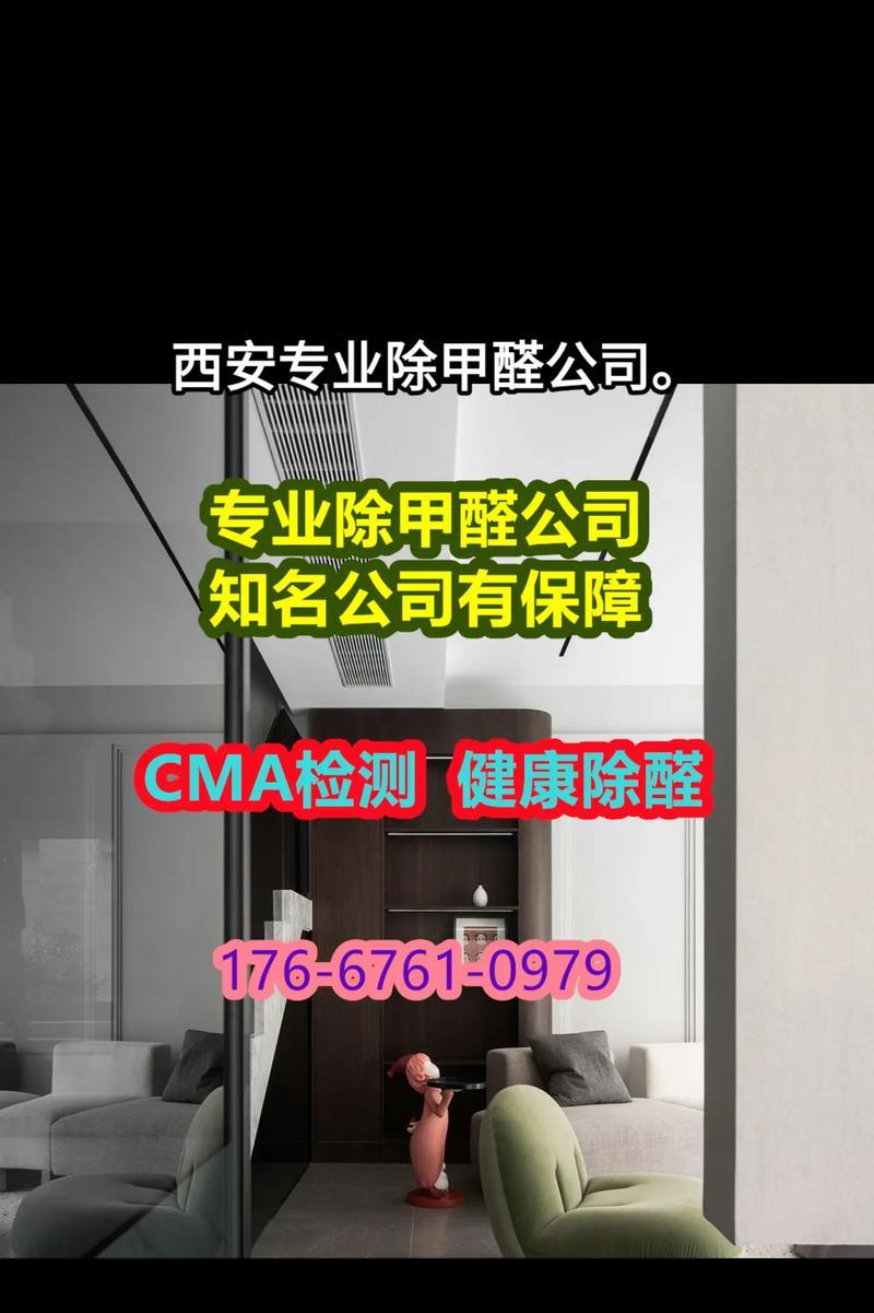 专业除甲醛公司的有效性揭秘（专业除甲醛公司能否真正消除室内甲醛污染）
