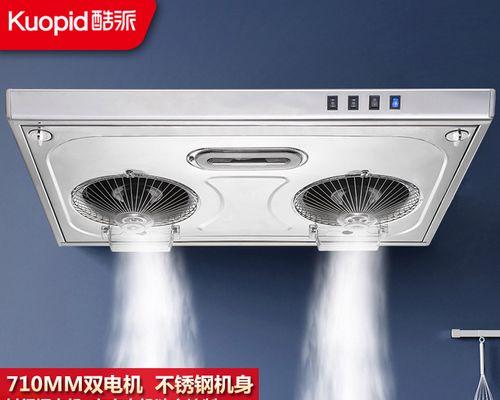 排油烟机噪音太大的原因及解决方法（探究噪音过大的原因）