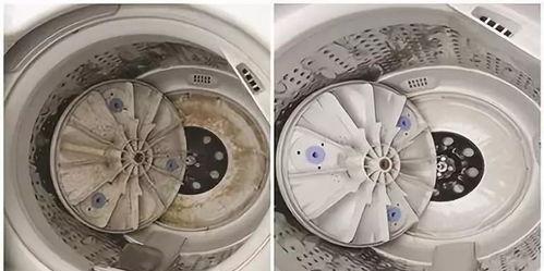 如何清洗滚筒洗衣机霉菌（打造洁净健康的家居环境）