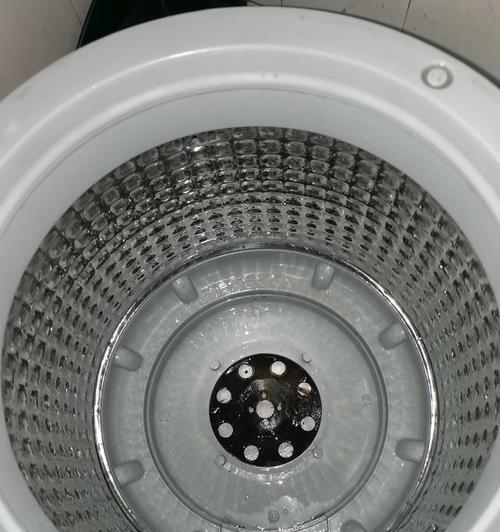 侧门洗衣机胶条清洗方法（简单有效的清洁方法）