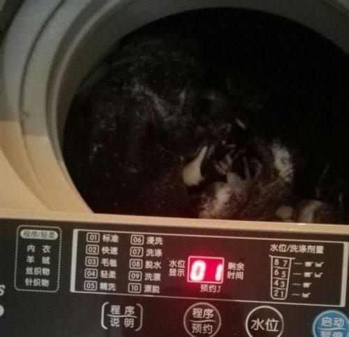 解除TCL滚筒洗衣机故障代码E3的方法（清理排水管可轻松解决洗衣机故障）