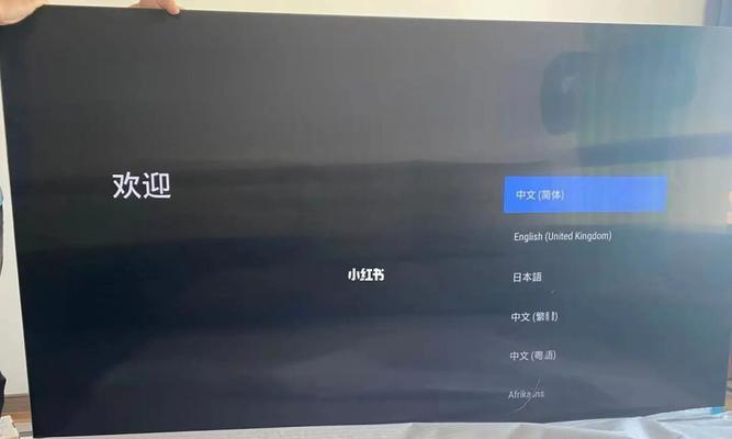 电视机亮度问题解决方案（解决电视机亮度调节失效的方法及注意事项）