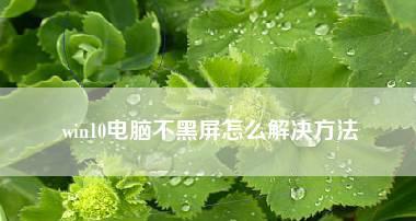 重装系统后电脑黑屏怎么办（解决电脑重装系统后出现黑屏的方法及技巧）