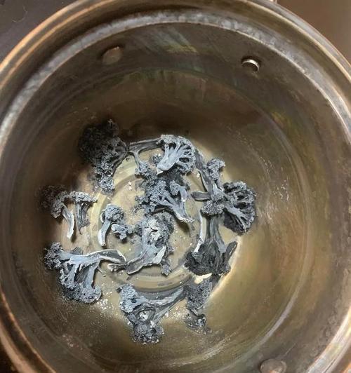 电磁炉煮饺子总烂的解决方法（掌握正确的火候）