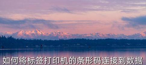 电脑与打印机的联机设置方法（轻松实现电脑与打印机的连接）