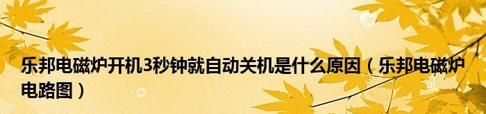 电磁炉自动启停技术的原因与优势（探索电磁炉自动启停的原理与应用领域）