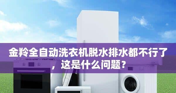 如何解决金羚洗衣机不脱水故障（教你轻松应对洗衣机脱水问题的解决方法）
