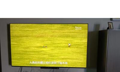 解决小米电视机卡顿问题的有效方法（让你的小米电视流畅无卡顿的秘诀）