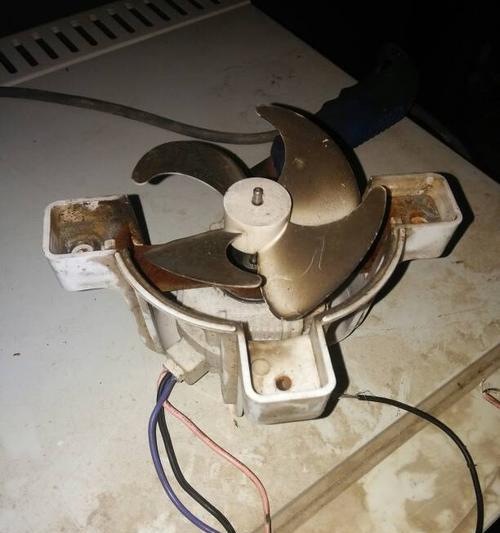 大冰柜风扇响修理指南（解决大冰柜风扇噪音问题的简易方法）