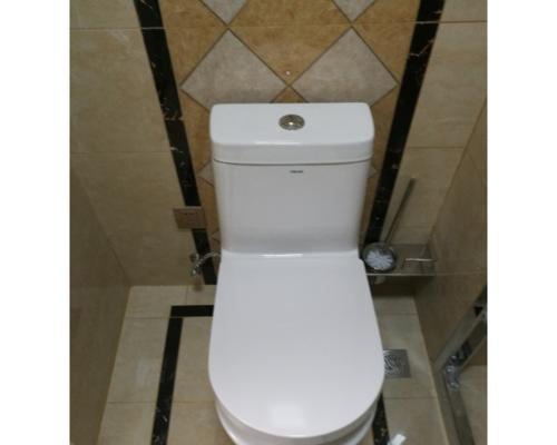 什么东西最厉害地堵住法恩莎马桶（揭秘法恩莎马桶最强堵塞杀手）