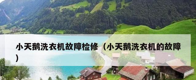 洗衣机常见故障及解决方法（了解洗衣机故障）