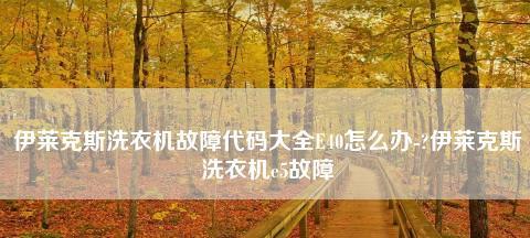 解读伊莱克斯洗衣机故障码E5（E5故障处理办法及维修技巧）