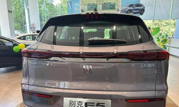 解读伊莱克斯洗衣机故障码E5（E5故障处理办法及维修技巧）