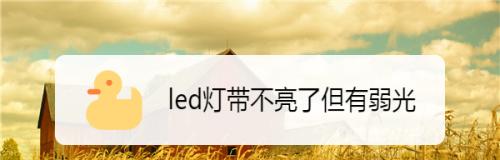 LED灯不亮有弱光怎么办？如何快速解决LED弱光问题？