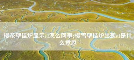 探索樱雪壁挂炉的各种代码应用（揭秘樱雪壁挂炉的代码魅力与应用前景）