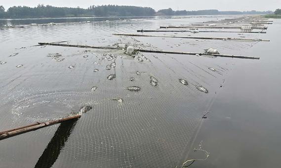 如何通过手机控制河道养鱼摄像头拍照？