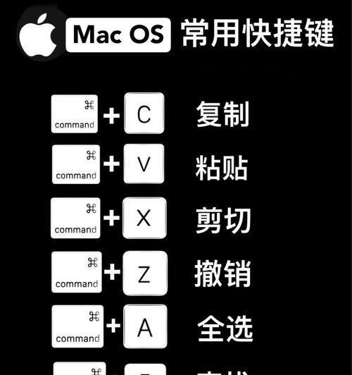 苹果笔记本鼠标拖移操作方法是什么？如何提高效率？