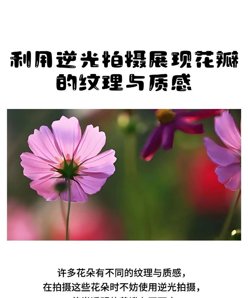 逆光拍照时手机亮度调整技巧是什么？