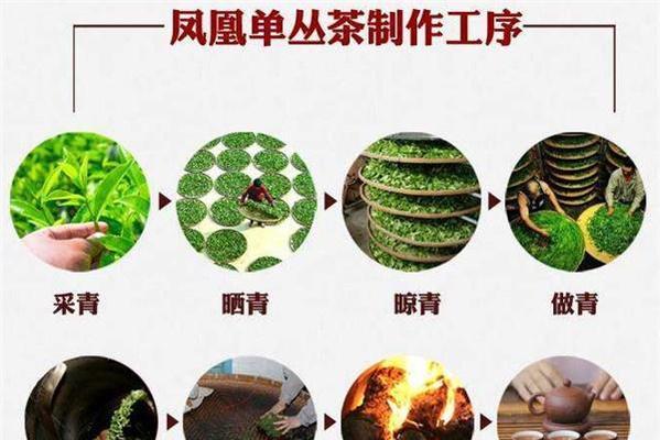 茶叶采摘机充电器的正确使用方法是什么？