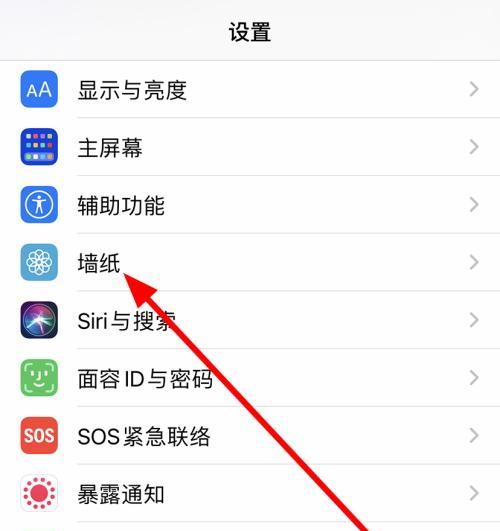 苹果手机下载棒棒应用的步骤是什么？