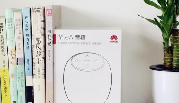如何制作ai智能音箱？