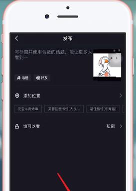 苹果手机私信发送音乐视频的方法是什么？操作步骤详细吗？