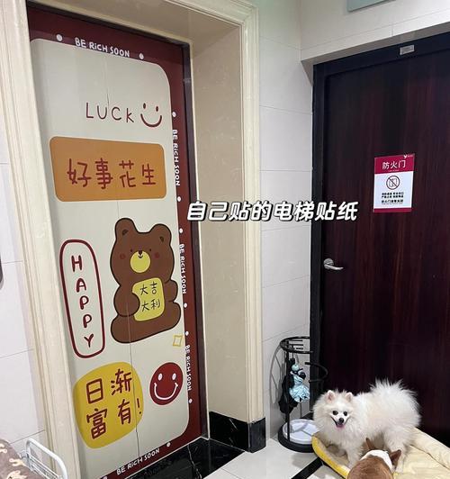 狗笼使用电风扇的后果是什么？