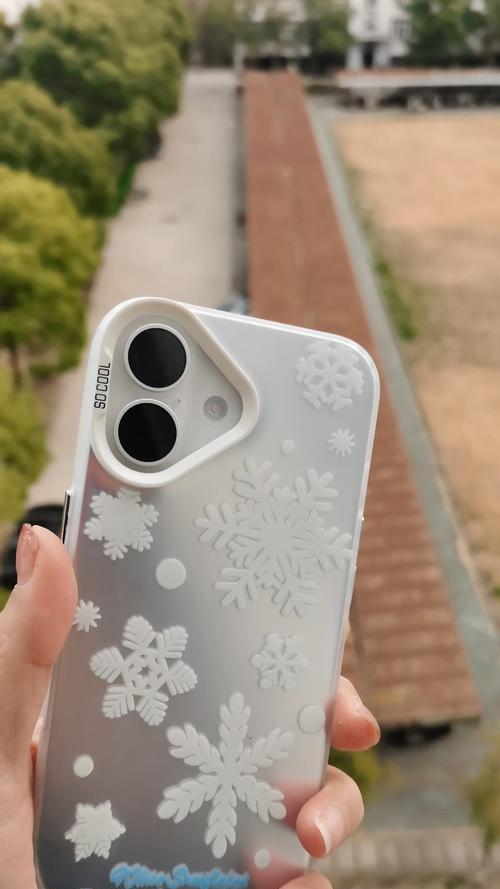 苹果手机壳屏幕保护设置方法是什么？