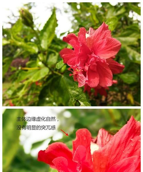 苹果手机出现绿色边缘是硬件问题吗？如何排查和修复？