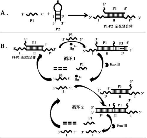 信号模拟器探针使用方法是什么？