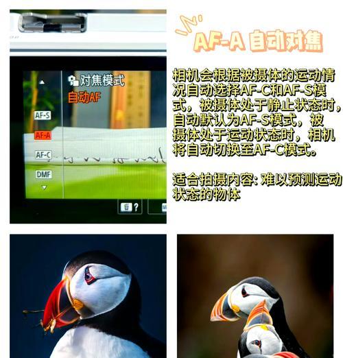索尼相机拨轮使用技巧有哪些？
