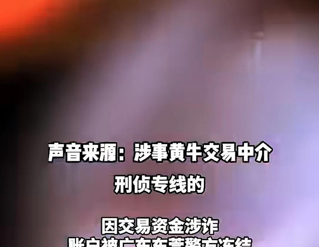 开封养牛户收卖牛款50万，牛拉走账户涉诈被冻！哭诉害怕钱牛两空