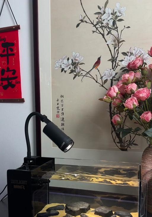 小爱鱼缸音响的音质如何？使用效果怎么样？