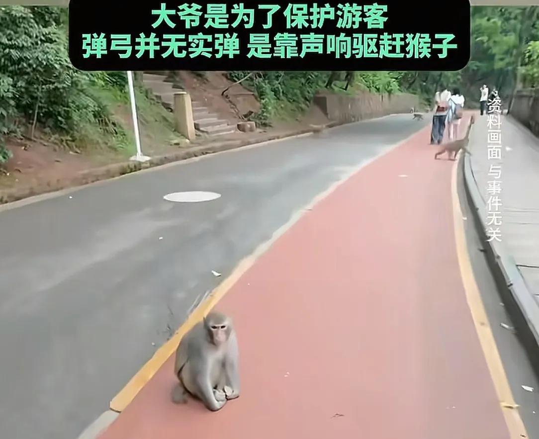 你再打猴我打你！保洁大爷驱赶猴子被一南京游客辱骂，公园回应