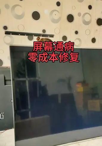 解决海信电视无声音有图像故障的方法（排除海信电视无声音有图像故障的可能原因与解决方案）