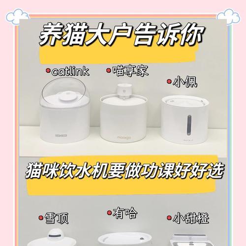 如何正确安装猫咪马桶饮水机（简单易行的安装步骤让您的猫咪随时畅饮）