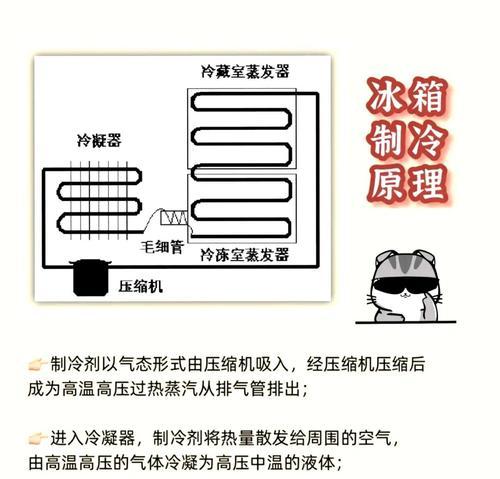 冷藏和冷冻的最佳温度（解析食物冷藏和冷冻的温度要求，探讨其差异与影响）