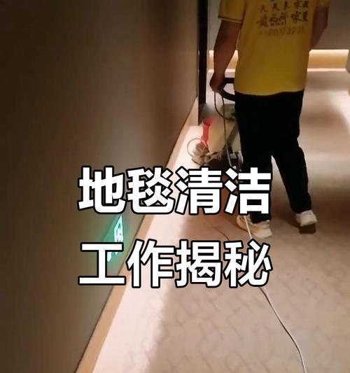 地毯清洗技巧（如何彻底清洁你的地毯）