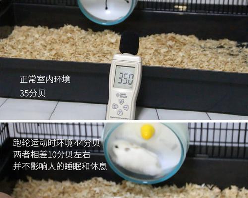 仓鼠爬跑步机的原因和好处（揭秘仓鼠喜欢爬跑步机的原因及对健康的益处）