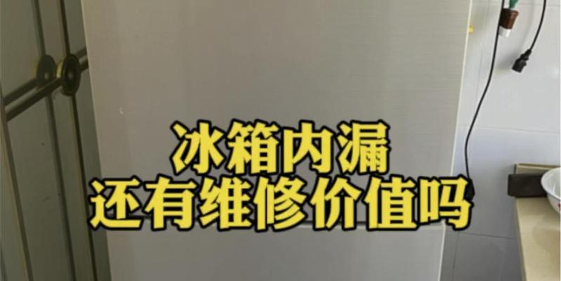 冰箱内漏的原因及解决方法（揭秘冰箱内漏的原因）