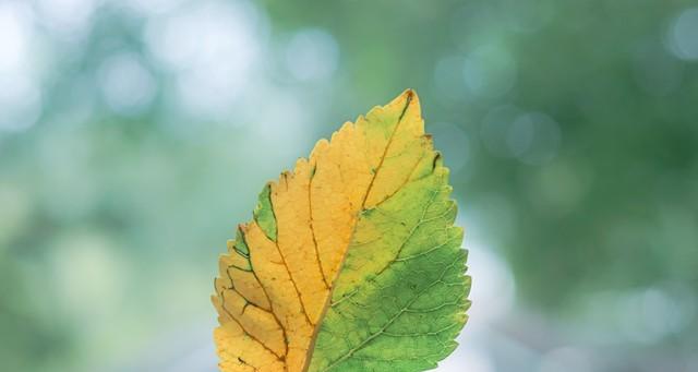 老话说“不怕出伏晴,就怕出伏雨”！下雨还要多久？还要热多久？