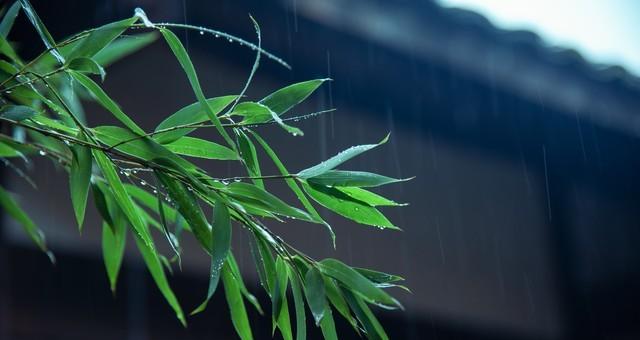 老话说“不怕出伏晴,就怕出伏雨”！下雨还要多久？还要热多久？